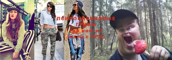 дурь Белокуриха