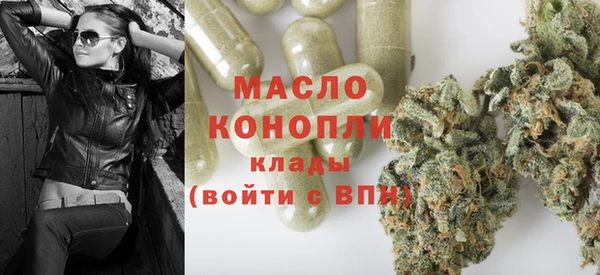 дмт Елизово