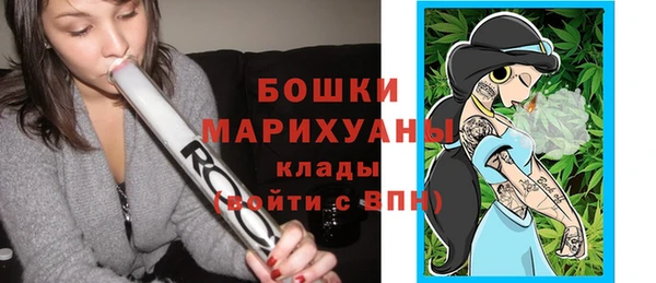 мдпв Ельня