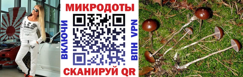Псилоцибиновые грибы Cubensis  Облучье 
