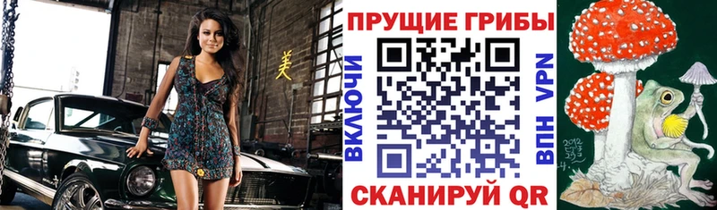 Псилоцибиновые грибы мухоморы Облучье