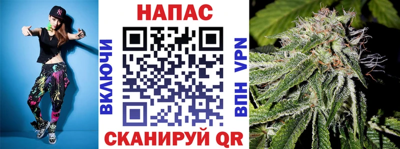 Каннабис White Widow  MEGA маркетплейс  Облучье  как найти закладки 